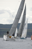 animal gbr1952l whw12 tues gjmc 7112